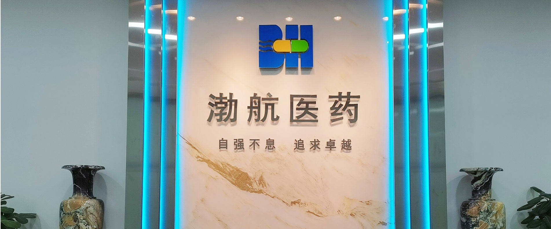 最专业的品牌服务，为您创作更高的价值